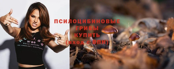 МДПВ Надым