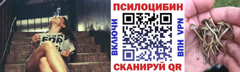 Галлюциногенные грибы мицелий где можно купить наркотик гидра вход Гагарин