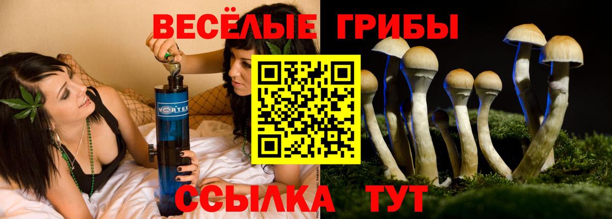 Псилоцибиновые грибы прущие грибы Гагарин